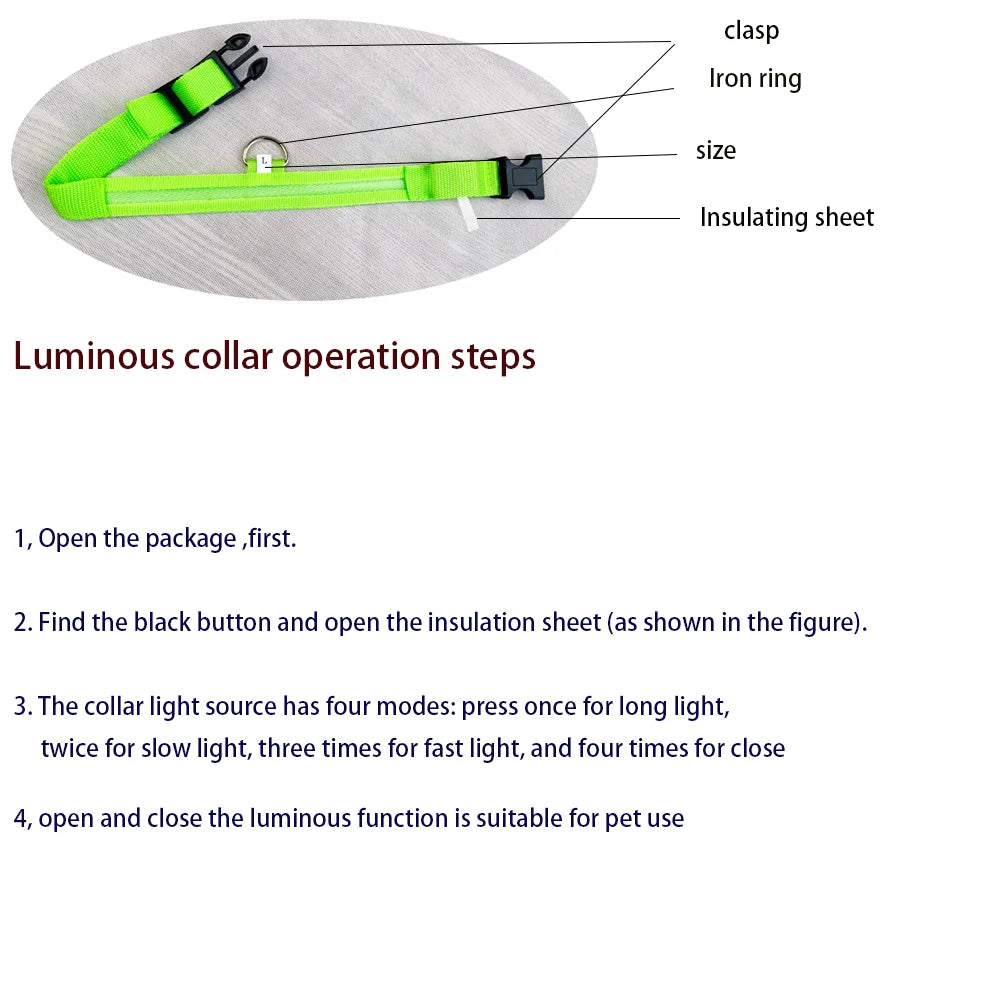 LED Glow Dog Leash & Collar — Night Safety