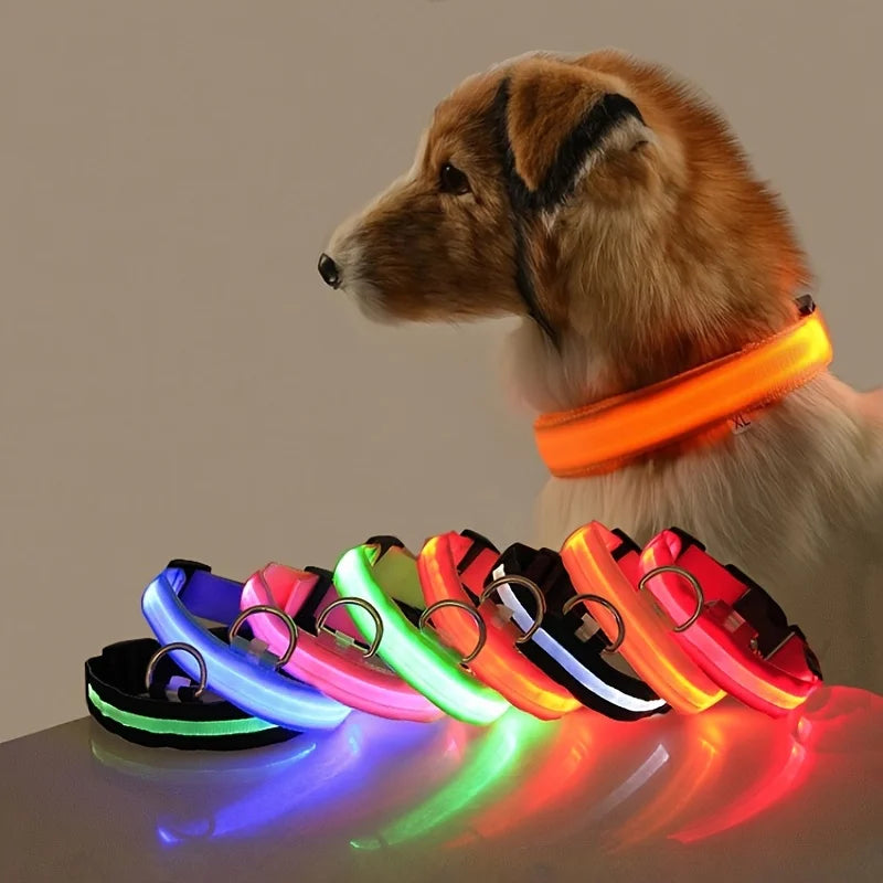 LED Glow Dog Leash & Collar — Night Safety