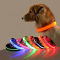 LED Glow Dog Leash & Collar — Night Safety