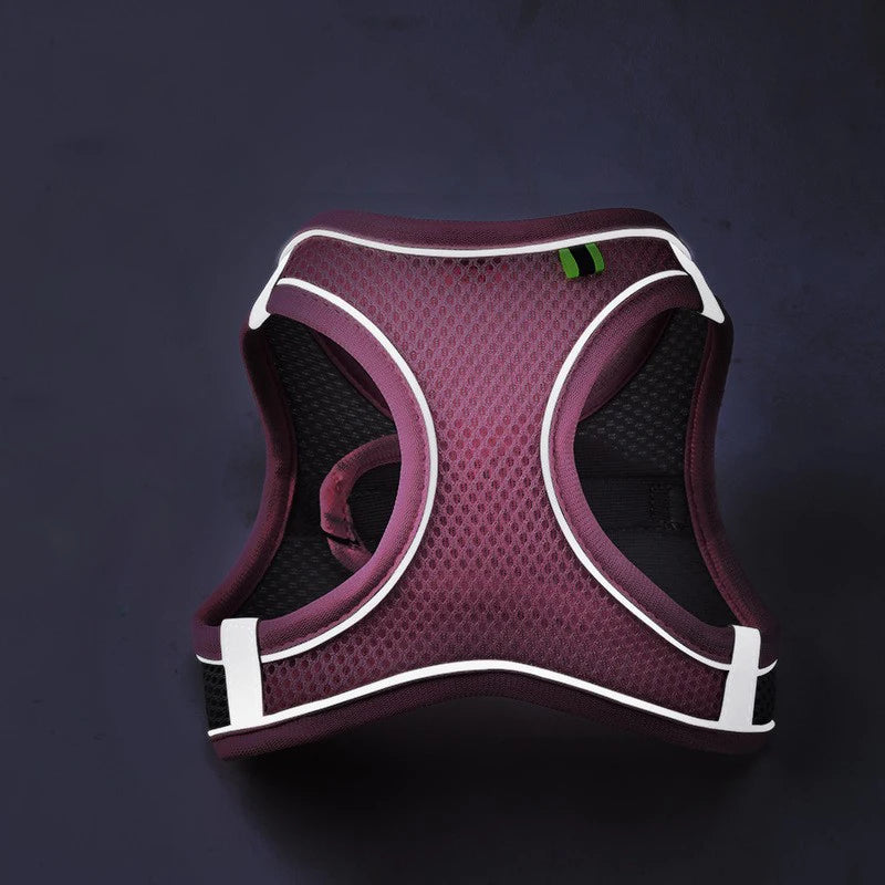 Reflective Adjustable Pet Harness — Cats & Small/Medium Dogs